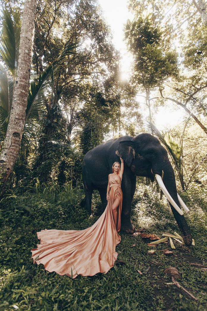 Pink dress and elephant