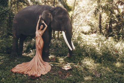 Dress and elephant